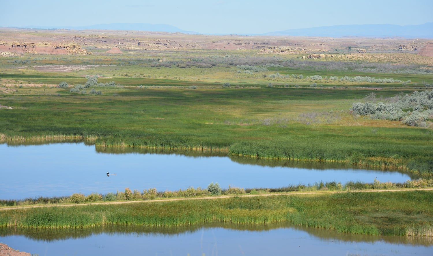 Credit: bureau of Land Management Public Domain